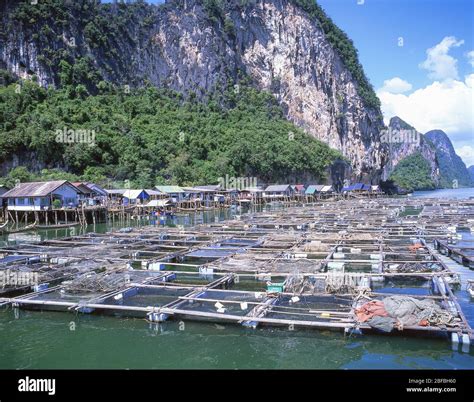 Ko Panyi (Koh Panyee) sea-stilts fishing village, Phang Nga, Phang Nga Province, Thailand Stock ...