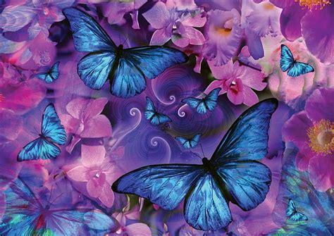 HD wallpaper: Artistic, Butterfly, Blue, Flower, Pink | Wallpaper Flare