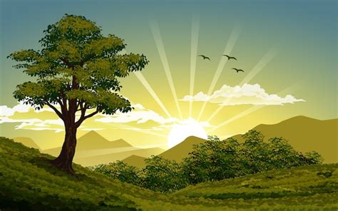 Premium Vector | Sunrise nature