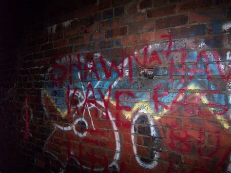 Graffiti | Graffiti inside the railroad tunnel | Frank | Flickr