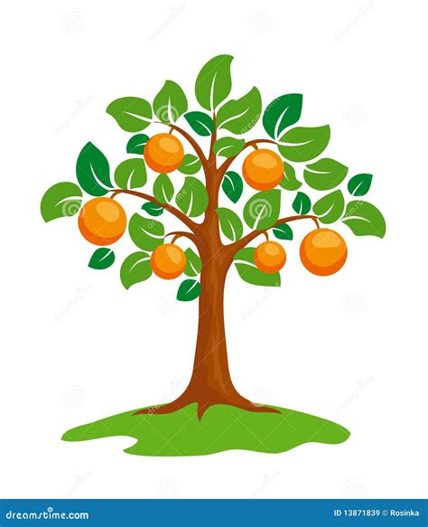 Orange-tree Royalty Free Stock Images - Image: 13871839