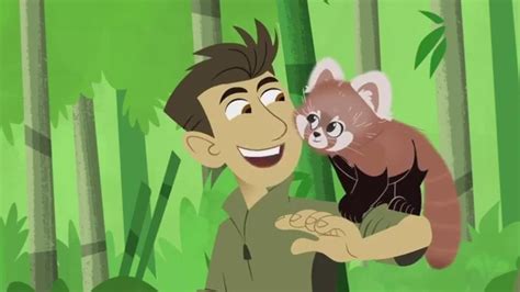 Wild Kratts Red Panda Rescue | On PBS Wisconsin
