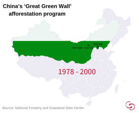 Can China’s afforestation knowledge green the world? | China Dialogue