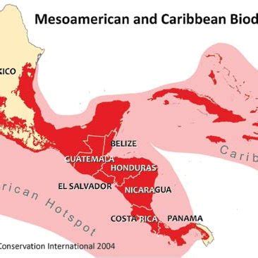 Biodiversity hotspots as defined by Conservation International, 2004. | Download Scientific Diagram