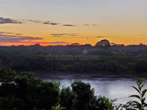 Sunrise Amazon Jungle River Stock Photo - Image of cloud, morning: 183843384