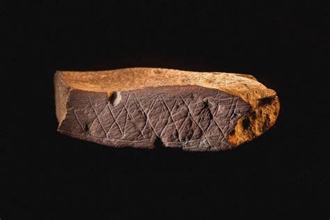 Neuroscientists Find Symbolic Meaning In Prehistoric Engravings | History books, Prehistoric ...