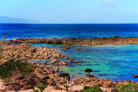 sharks cove oahu winter - Preeminence Log-Book Picture Library