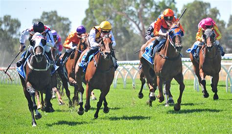 Wangaratta Tips and Previews, Mon 21st June | BetDeluxe Tips