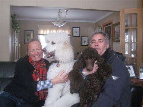 Mike & His New Family - Cantope Standard Poodles