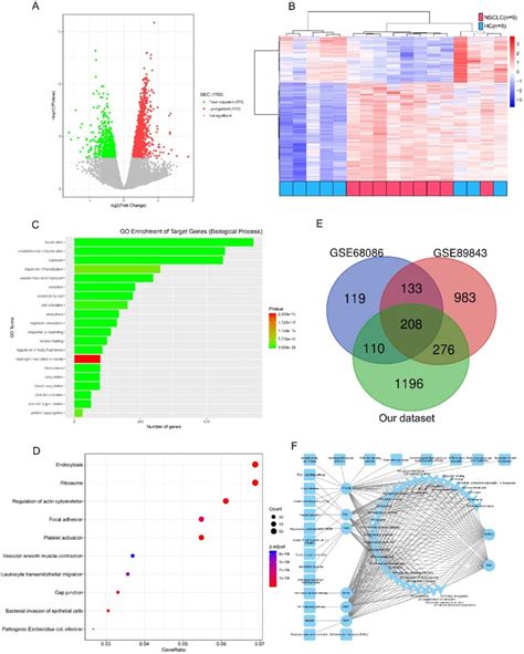 Candidate platelet mRNA selection from RNA-seq analysis. (A) Volcano ...