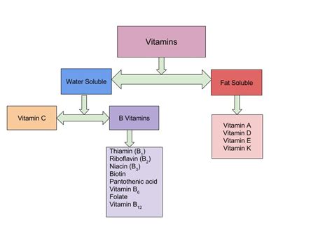 Classification of Vitamins and Minerals – Nutrition: Science and ...