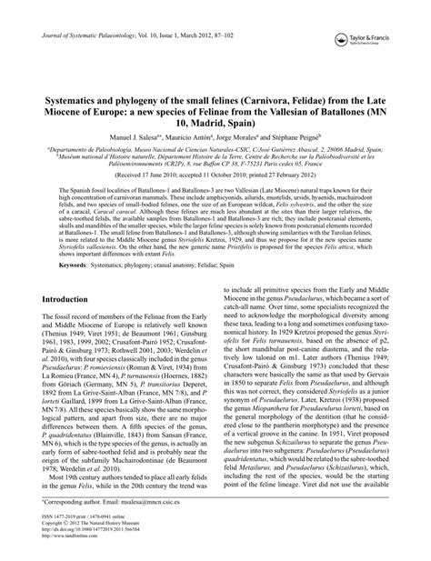 (PDF) Systematics and phylogeny of the small felines (Carnivora, Felidae) from the Late Miocene ...