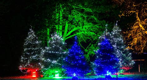 Experience the Magic of Christmas at Kew Gardens – Planning Your Adventure