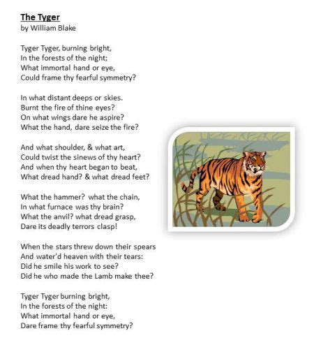 the tiger poem by William Blake - ☮ * ° ♥ ˚ℒℴѵℯ cjf | William blake poems, Poem a day, William blake