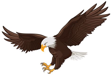 American Eagle Clip Art | Eagle PNG Clip Art - Best WEB Clipart | Eagle images, Eagle pictures ...