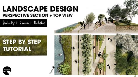 How to create a LANDSCAPE DESIGN PERSPECTIVE SECTION + TOP VIEW # ...