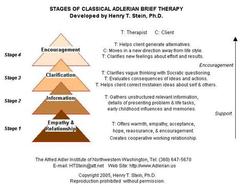 Stages of Adlerian Brief Therapy -Change rooted in client developing healthy lifestyle via unco ...