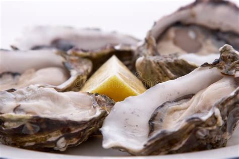 Oysters and Lemon stock image. Image of shell, open, lemon - 2335809