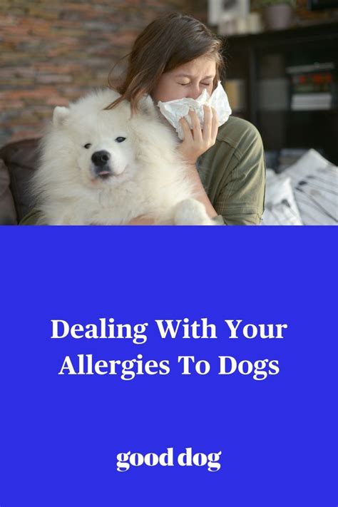 How To Deal With Your Allergies To Dogs in 2023 | Dog allergies, Allergic to dogs, Allergies