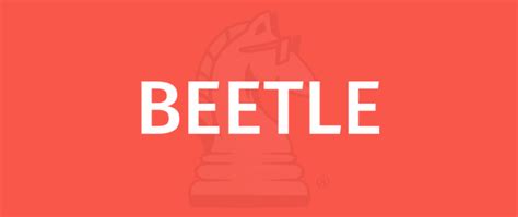 BEETLE - Learn How To Play With Gamerule.com