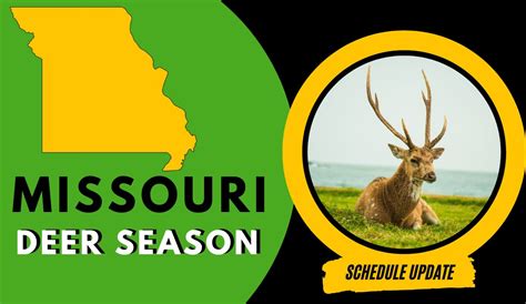 Missouri Deer Season 2024: Dates, Bag Limits, Licenses & Rules ...