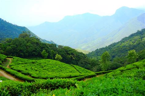 Top 5 Hill Stations in Kerala That Everyone Should Visit