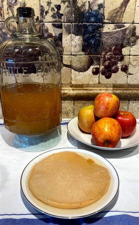 Apple Cider Vinegar Mother Mother of Vinegar Vinegar Starter ACV SCOBY ...