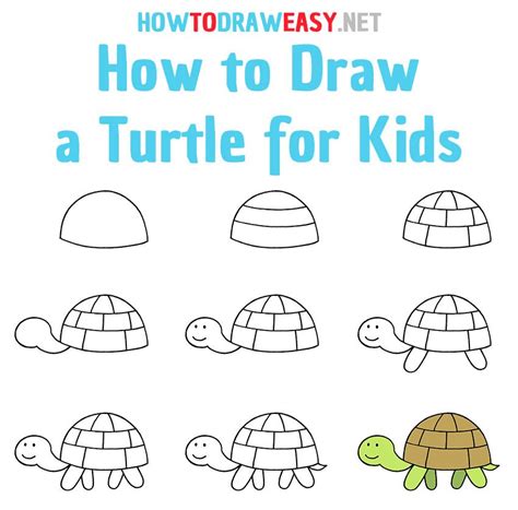 How to Draw a Turtle Step by Step | Turtle drawing, Drawing lessons for kids, Drawing for kids