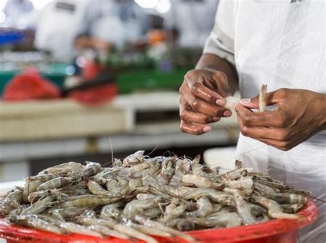 Odisha seafood park gets Rs 466 cr investment proposals | Business Standard News