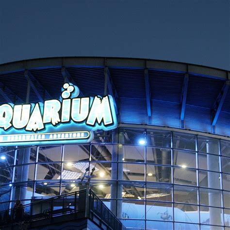 Downtown Aquarium Denver Tickets | Book Online!