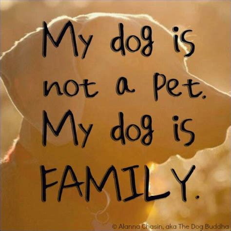 Quotes About Family As Pets. QuotesGram