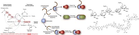 IBCC chapter & cast - Parenteral anticoagulants