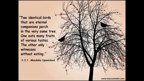 Mundaka Upanishad: the two birds metaphor - YouTube