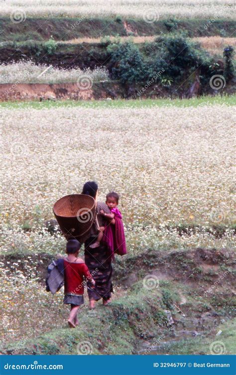 Rural Village Life in Tibet Editorial Photography - Image of field ...