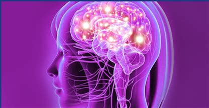 Overview of Nervous System and their Disorders-Types and Symptoms