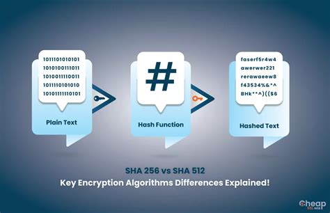 SHA 256 vs SHA 512: Key Encryption Algorithms Differences