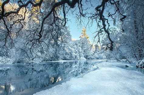 Winter, Forest, trees, River, ice, Snow, white, blue, frost, HD ...