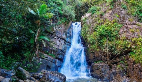 El Yunque Rainforest Bio Bay, El Yunque National Forest Tours