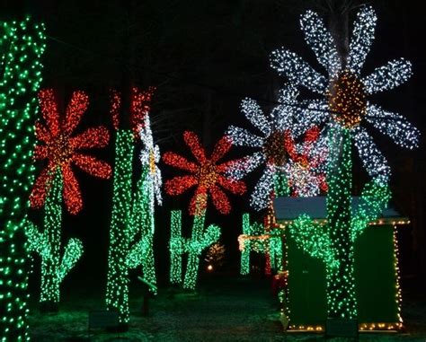 Oregon Garden Resort Christmas Lights - Minors Garden Center