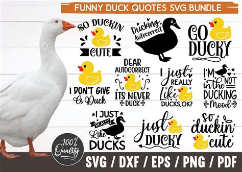 Funny Duck Quotes Svg Bundle Graphic by funnySVGmax · Creative Fabrica