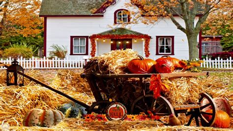 Pumpkin Patch Ambience: Autumn Farm, rustling Fall leaves, birds, apple ...