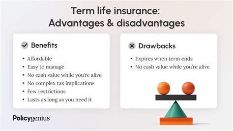 How Does Term Life Insurance Work? – Policygenius