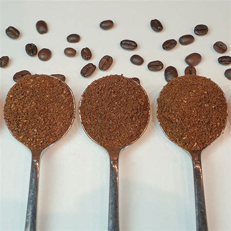 Understanding Coffee Grinds - Coffee 101 | Level Ground Trading – Level Ground Coffee Roasters