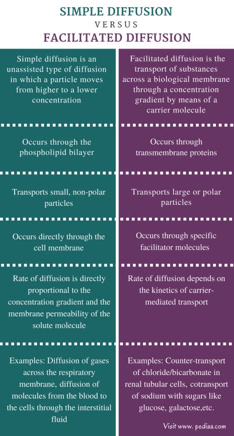 Facilitated Diffusion Examples