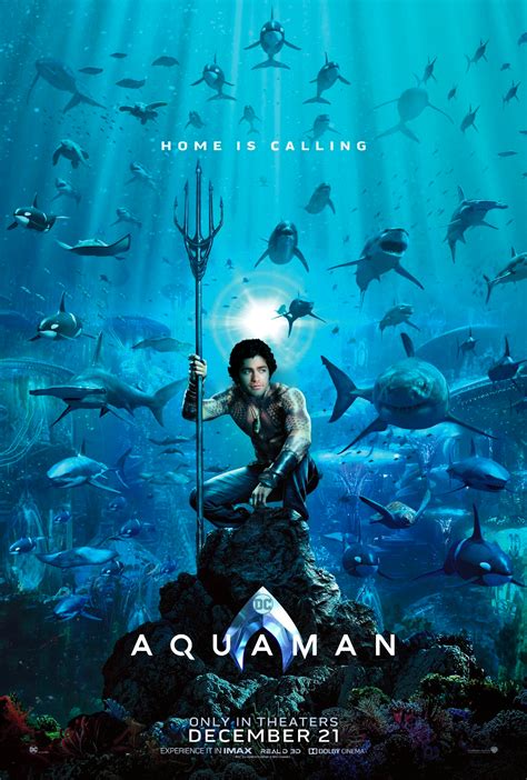 Aquaman Movie Poster Photoshopped with Entourage's Vinny Chase