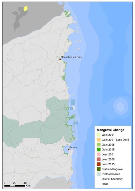 Figure A1. Mangroves of Cabo Delgado Province | Download Scientific Diagram