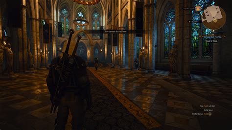 Ray Tracing Looks Incredible! : r/Witcher3