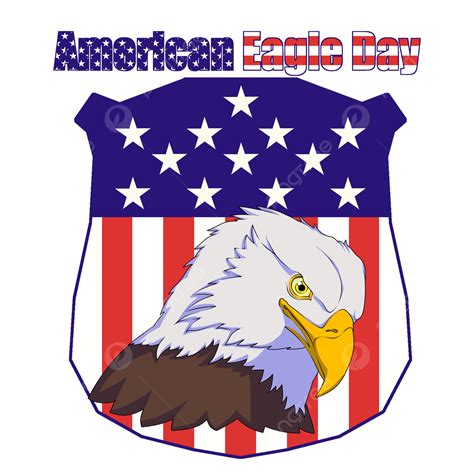 American Bald Eagle PNG Picture, Bald Eagle American Eagle Day, Bald ...