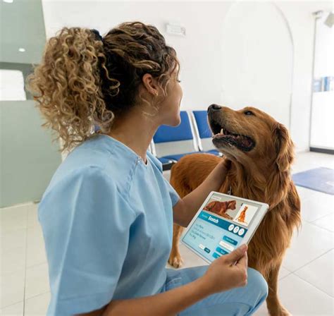 How Things Have Changed In Veterinary Medicine | Vet Advantage