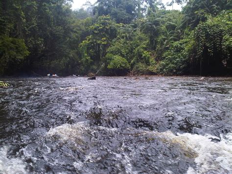 WZWH: Tengku Muda Pahang Bermain Ikan Kelah Sungai Tahan